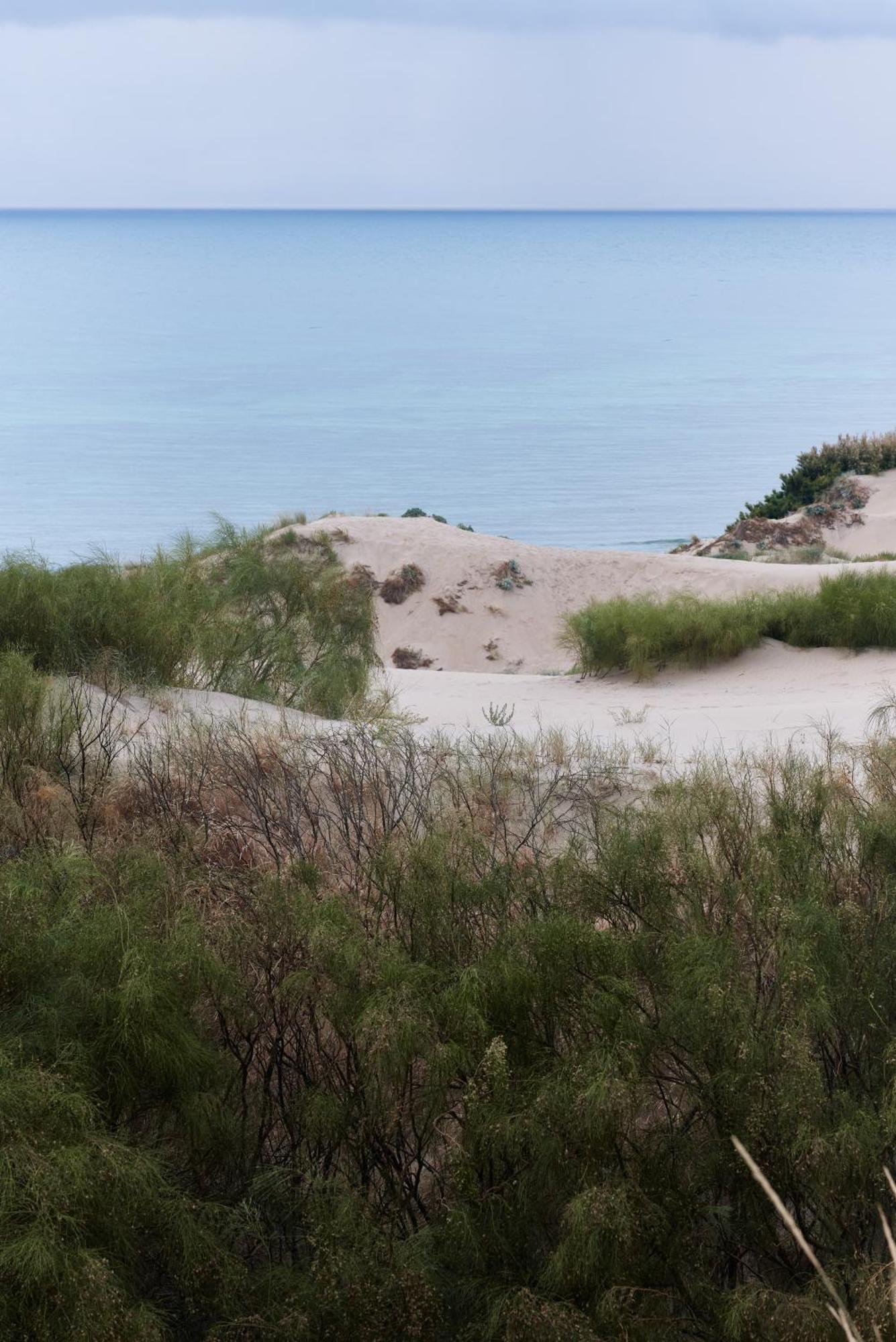 Taiga Tarifa Punta Paloma 호텔 외부 사진