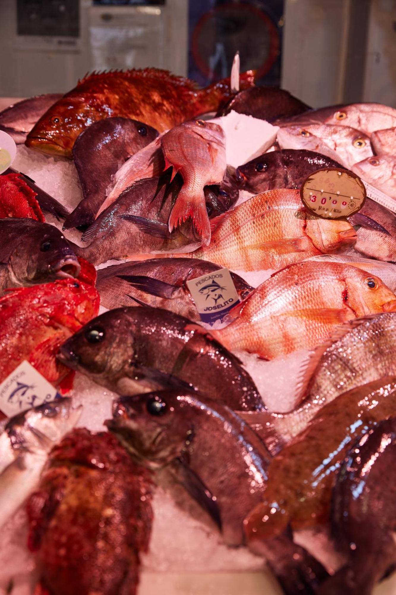 Taiga Tarifa Punta Paloma 호텔 외부 사진