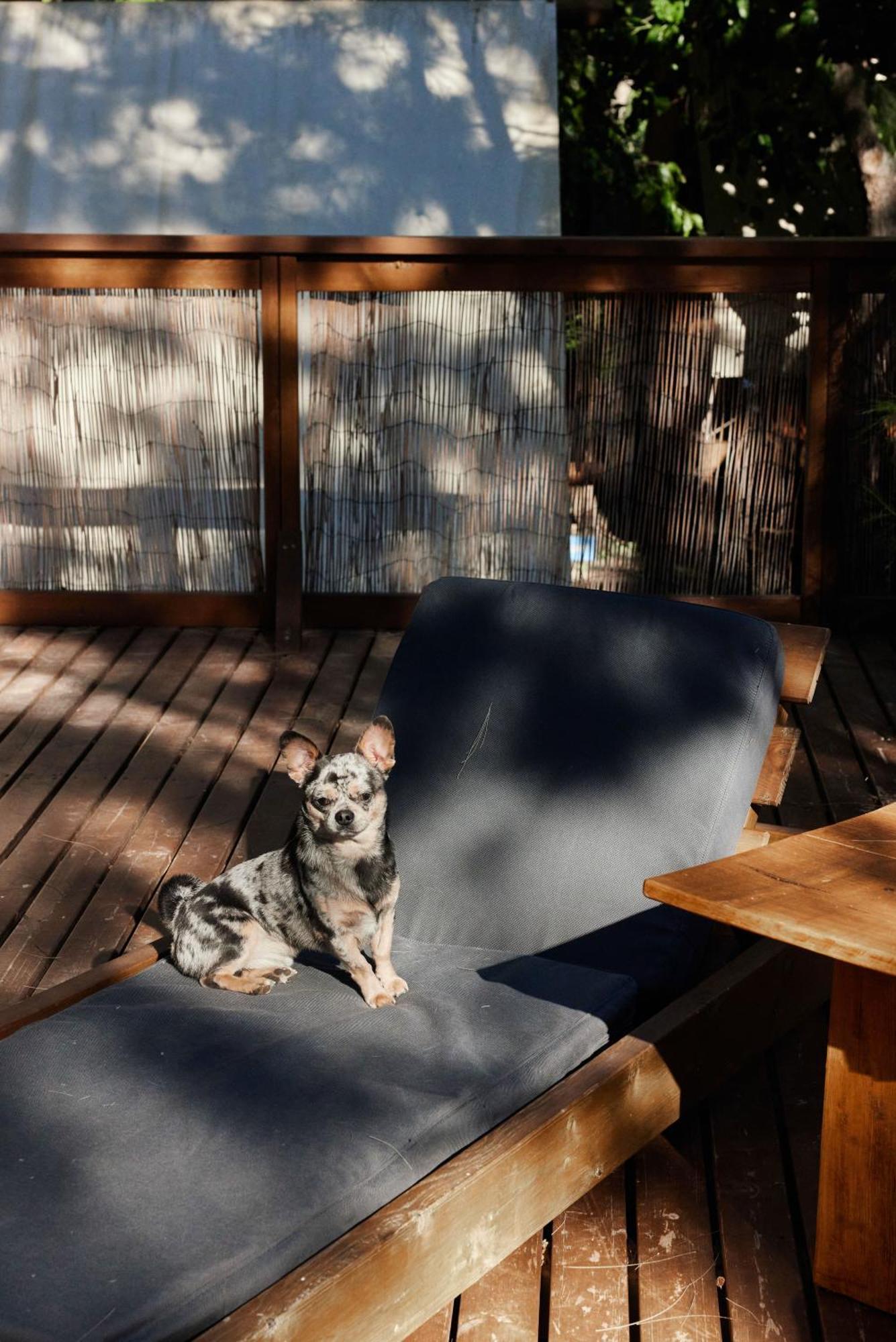 Taiga Tarifa Punta Paloma 호텔 외부 사진